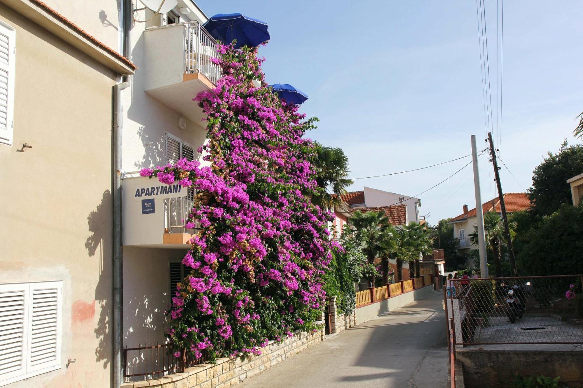 Apartments J&R Babara Biograd Na Moru Ruang foto